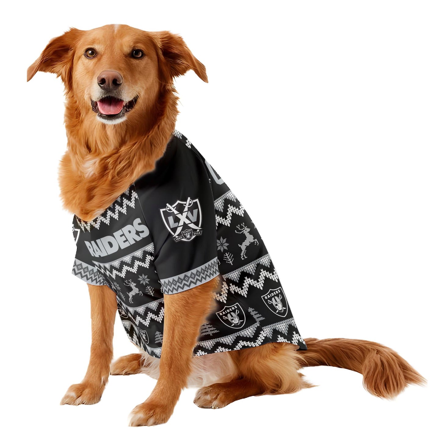 Las Vegas Raiders Family Holiday Ugly Sweater Pet Coat