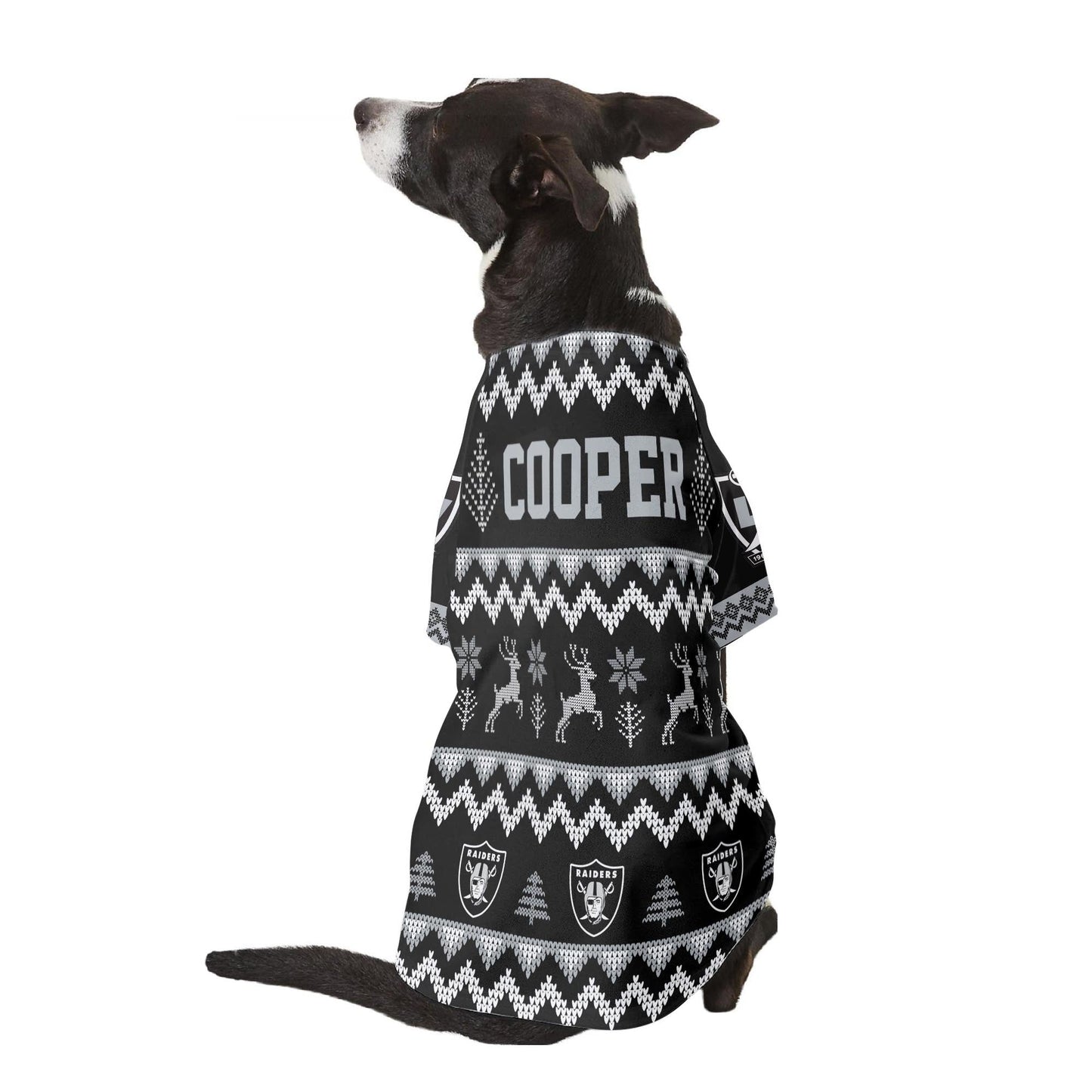 Las Vegas Raiders Family Holiday Ugly Sweater Pet Coat