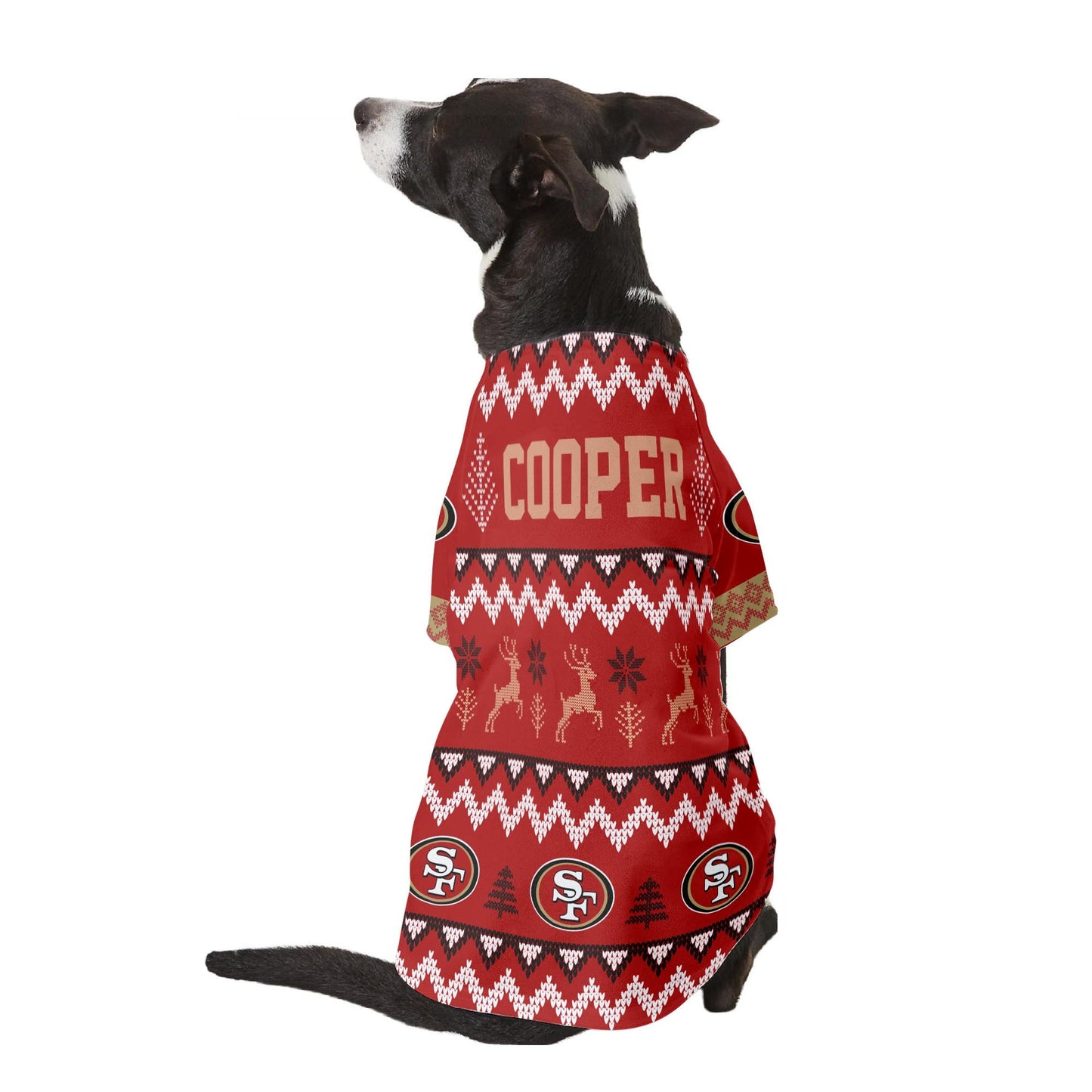 San Francisco 49ers Family Holiday Ugly Sweater Pet Coat